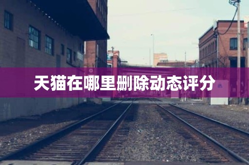 天猫在哪里删除动态评分