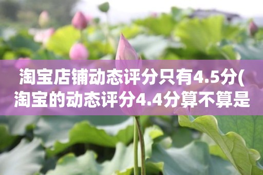 淘宝店铺动态评分只有4.5分(淘宝的动态评分4.4分算不算是很低的分)