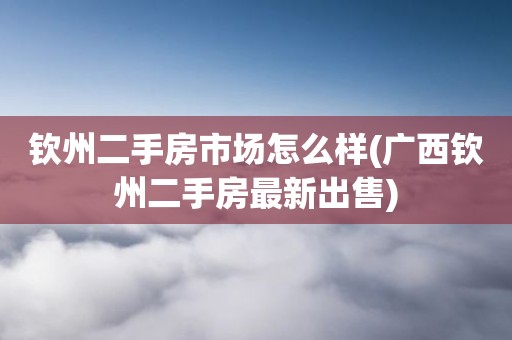 钦州二手房市场怎么样(广西钦州二手房最新出售)