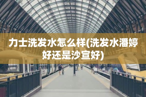 力士洗发水怎么样(洗发水潘婷好还是沙宣好)
