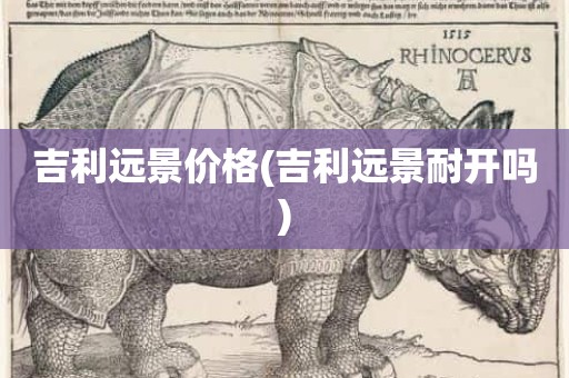 吉利远景价格(吉利远景耐开吗)