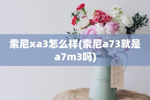 索尼xa3怎么样(索尼a73就是a7m3吗)