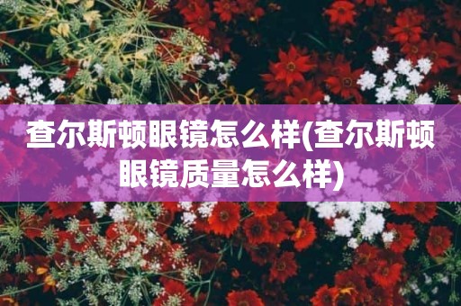 查尔斯顿眼镜怎么样(查尔斯顿眼镜质量怎么样)