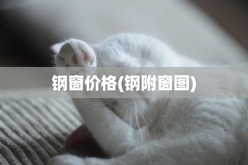 钢窗价格(钢附窗图)