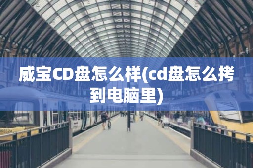 威宝CD盘怎么样(cd盘怎么拷到电脑里)