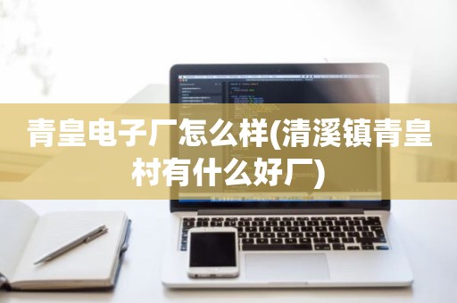 青皇电子厂怎么样(清溪镇青皇村有什么好厂)