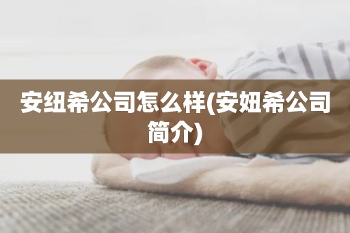 安纽希公司怎么样(安妞希公司简介)