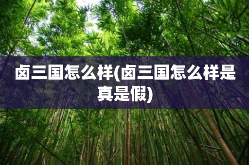 卤三国怎么样(卤三国怎么样是真是假)