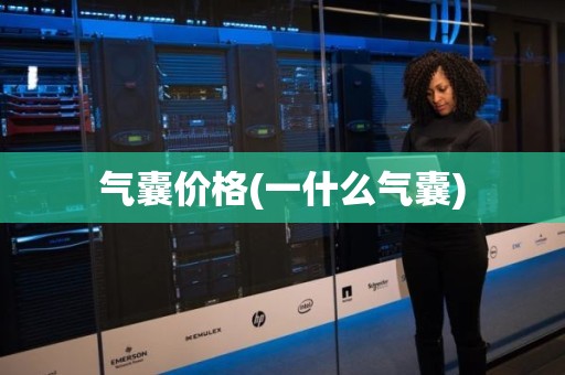 气囊价格(一什么气囊)