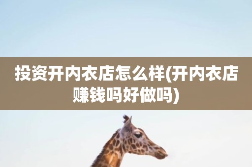 投资开内衣店怎么样(开内衣店赚钱吗好做吗)