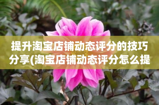 提升淘宝店铺动态评分的技巧分享(淘宝店铺动态评分怎么提高)