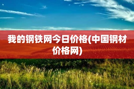 我的钢铁网今日价格(中国钢材价格网)