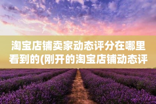 淘宝店铺卖家动态评分在哪里看到的(刚开的淘宝店铺动态评分什么时候开始显示)