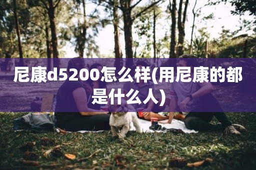 尼康d5200怎么样(用尼康的都是什么人)