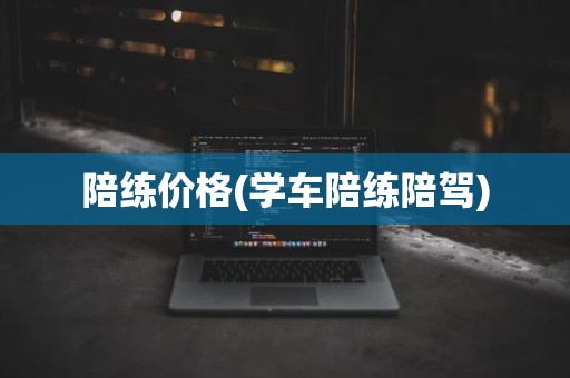 陪练价格(学车陪练陪驾)