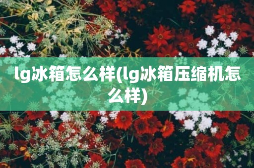 lg冰箱怎么样(lg冰箱压缩机怎么样)