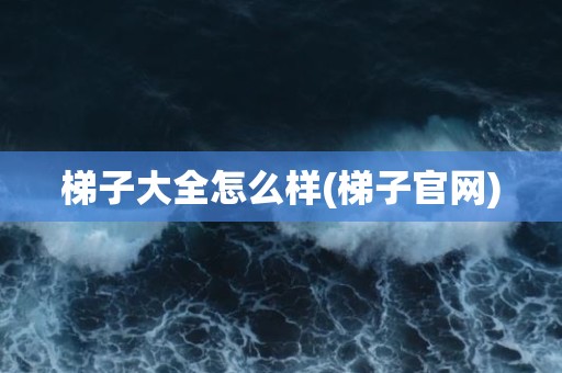 梯子大全怎么样(梯子官网)