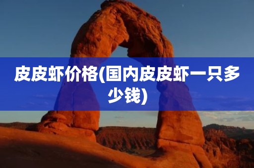 皮皮虾价格(国内皮皮虾一只多少钱)