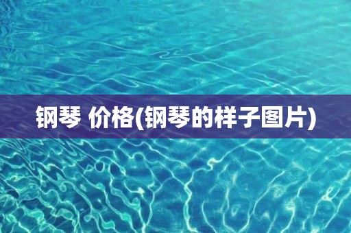 钢琴 价格(钢琴的样子图片)
