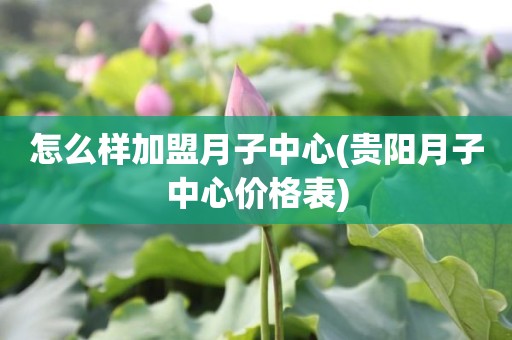 怎么样加盟月子中心(贵阳月子中心价格表)