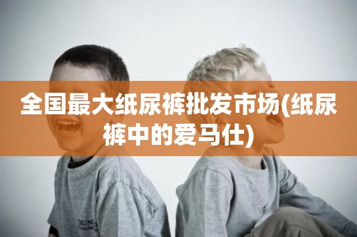 全国最大纸尿裤批发市场(纸尿裤中的爱马仕)