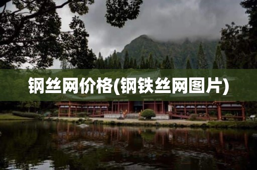 钢丝网价格(钢铁丝网图片)