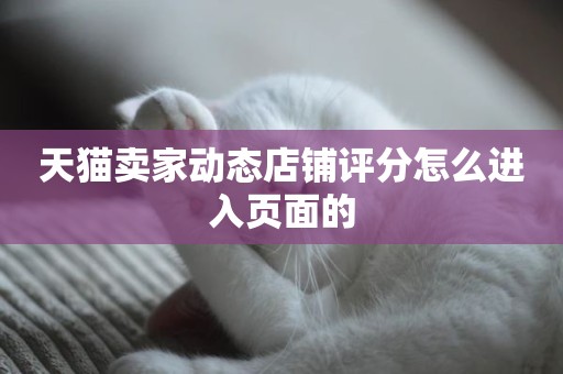 天猫卖家动态店铺评分怎么进入页面的