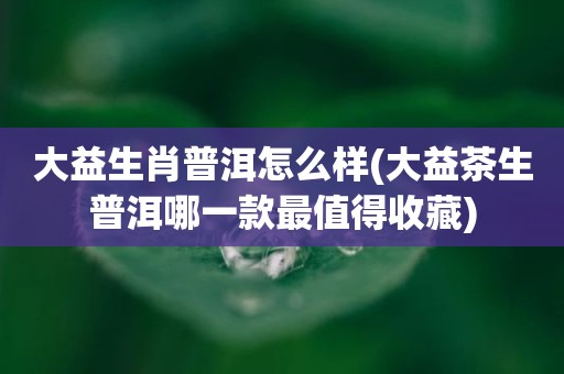 大益生肖普洱怎么样(大益茶生普洱哪一款最值得收藏)