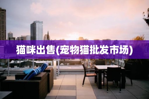 猫咪出售(宠物猫批发市场)