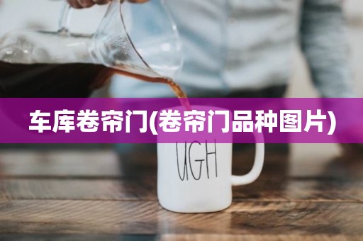车库卷帘门(卷帘门品种图片)