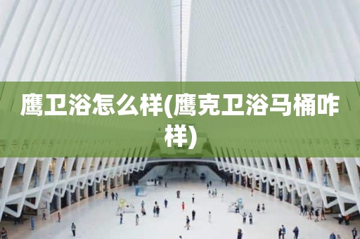 鹰卫浴怎么样(鹰克卫浴马桶咋样)