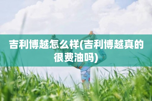 吉利博越怎么样(吉利博越真的很费油吗)