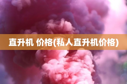 直升机 价格(私人直升机价格)