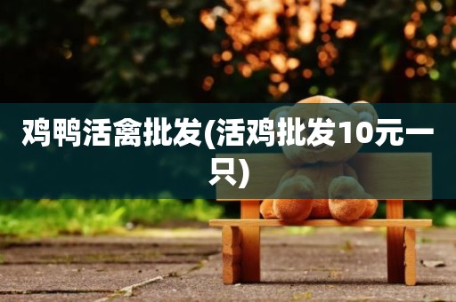 鸡鸭活禽批发(活鸡批发10元一只)