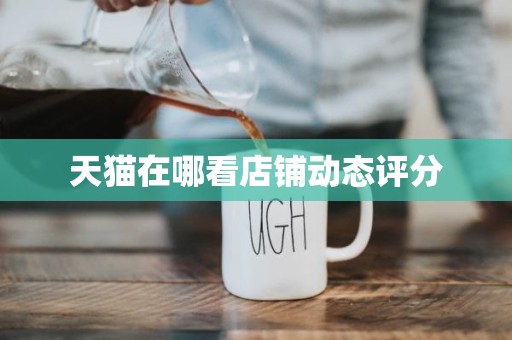 天猫在哪看店铺动态评分