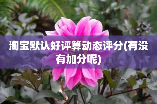 淘宝默认好评算动态评分(有没有加分呢)