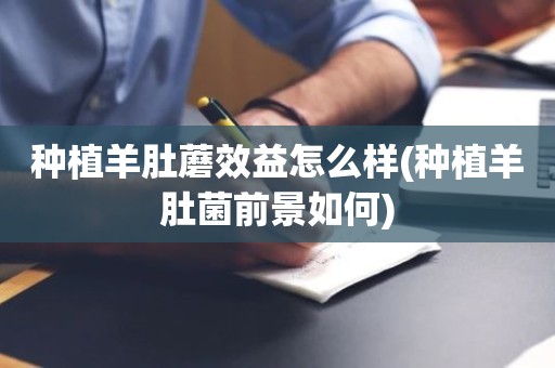 种植羊肚蘑效益怎么样(种植羊肚菌前景如何)