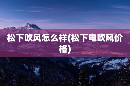 松下吹风怎么样(松下电吹风价格)