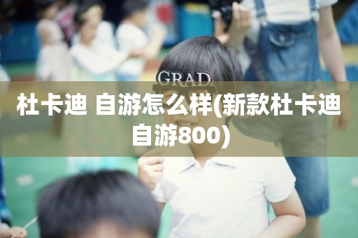 杜卡迪 自游怎么样(新款杜卡迪自游800)