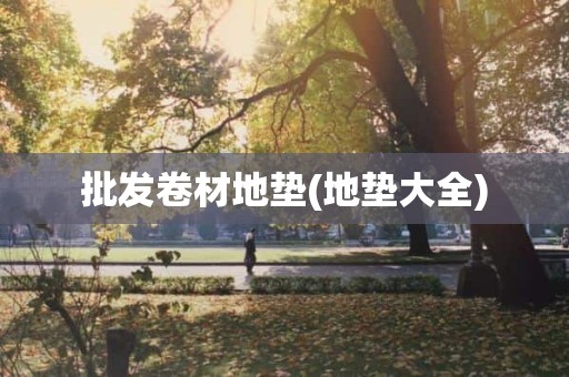 批发卷材地垫(地垫大全)