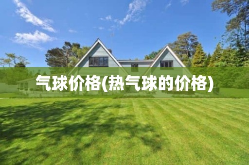 气球价格(热气球的价格)