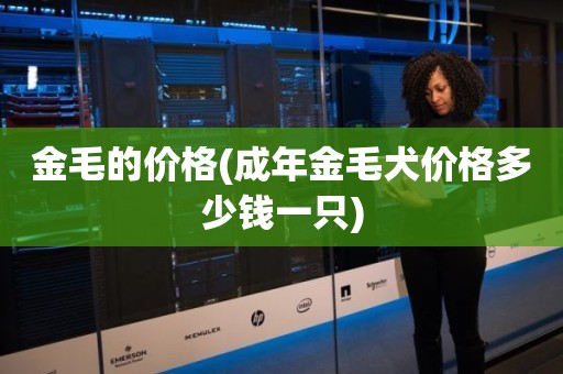 金毛的价格(成年金毛犬价格多少钱一只)