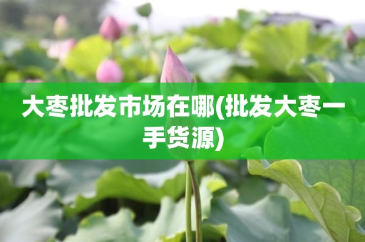 大枣批发市场在哪(批发大枣一手货源)