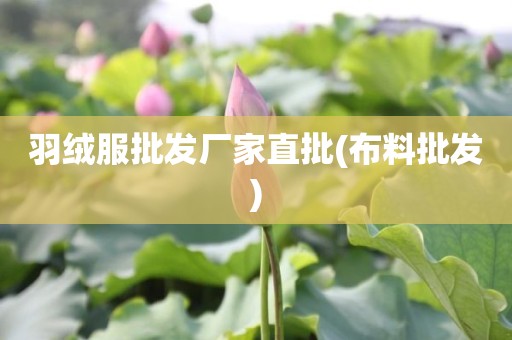 羽绒服批发厂家直批(布料批发)