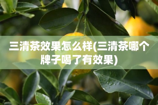 三清茶效果怎么样(三清茶哪个牌子喝了有效果)