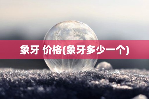 象牙 价格(象牙多少一个)