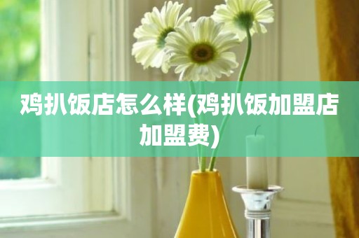 鸡扒饭店怎么样(鸡扒饭加盟店加盟费)