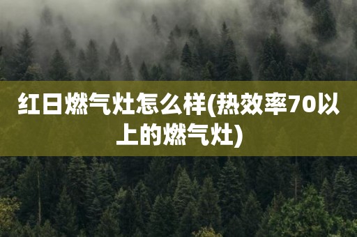 红日燃气灶怎么样(热效率70以上的燃气灶)