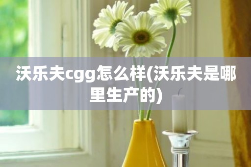 沃乐夫cgg怎么样(沃乐夫是哪里生产的)