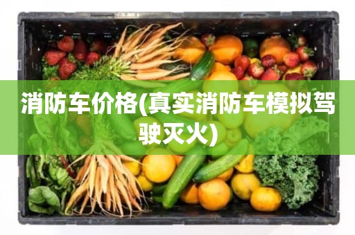 消防车价格(真实消防车模拟驾驶灭火)